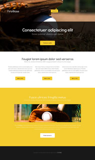 棒球比赛HTML5网页模板