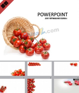 有机食品ppt模板下载