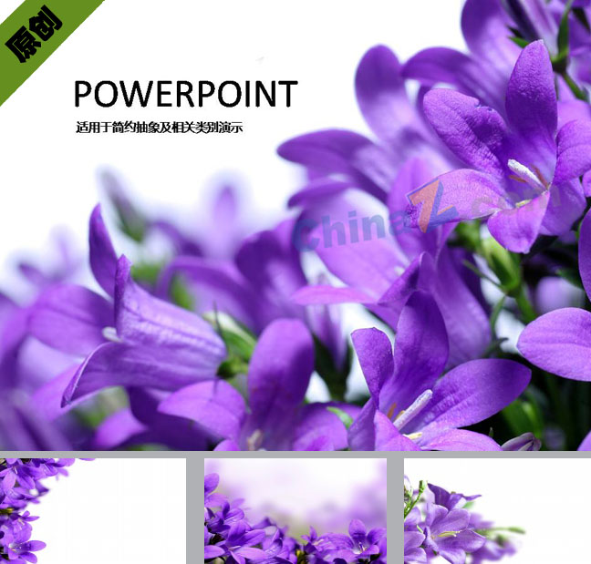 淡紫色花卉ppt背景图片