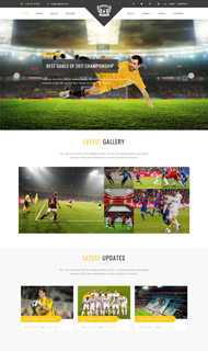足球体育类电商网站模板