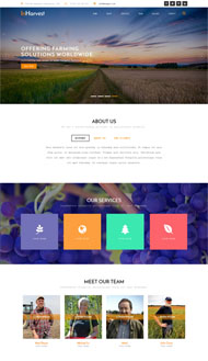 农业蔬菜农产品网站模板