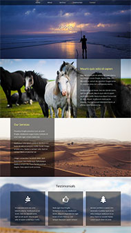 沙漠风景区主题展示网站模板