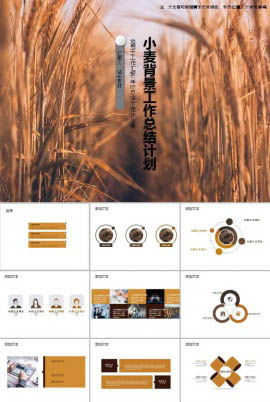 简洁小麦背景工作总结计划ppt模板