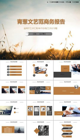 青葱文艺范商务报告ppt模板