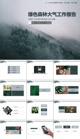 绿色森林大气工作报告PPT模板