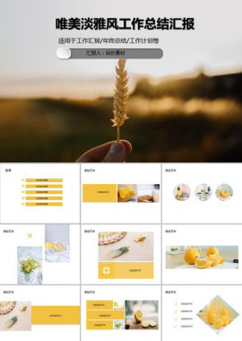 唯美淡雅风工作总结汇报PPT模板