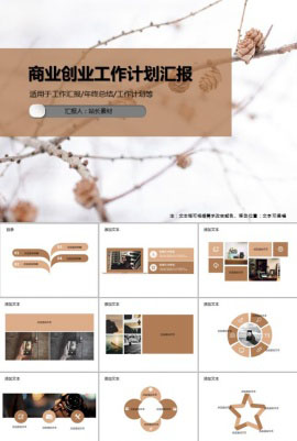 商业创业工作计划汇报PPT模板