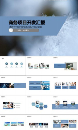 商务项目开发汇报PPT模板