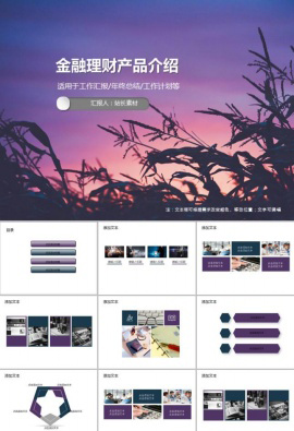 金融理财产品介绍PPT模板