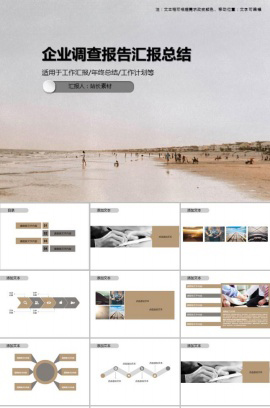 企业调查报告汇报总结PPT模板