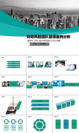 财务风险团队管理案例分析PPT模板