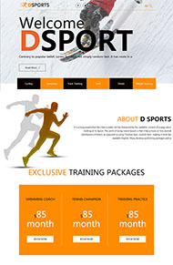体育用品健身网站模板
