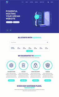 域名服务器公司网站模板