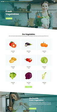 蔬菜销售电子商务网站模板