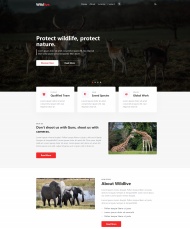 保护野生动物新闻资讯网站模板