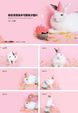 粉色背景兔年可爱兔子ppt背景图片