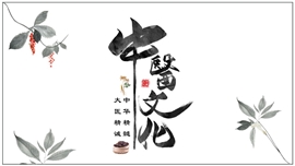 中药文化宣传发布产品介绍ppt模板