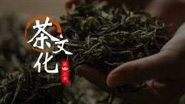 中国风茶文化茶艺茶道PPT模板
