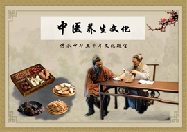 中医学中医文化养生保健PPT模板