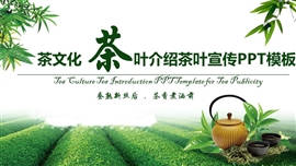 茶文化茶叶介绍茶叶宣传ppt模板