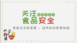 关注食品安全保障身体健康PPT模板