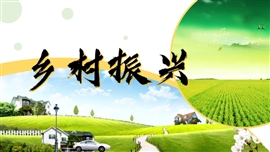 乡村振兴农业扶贫政府工作PPT模板