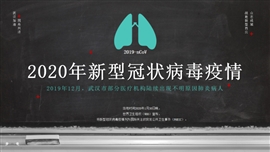 抗击肺炎疫情新型冠状病毒ppt模板