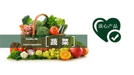 绿色有机蔬菜农业农产品介绍ppt模板