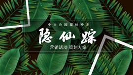 隐仙踪营销活动策划方案ppt模板