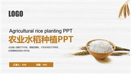 极简农业发展水稻种植ppt模板
