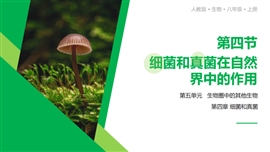 生物细菌和真菌在自然界的作用PPT模板