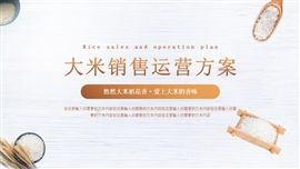 大米销售运营方案ppt模板