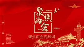 聚焦两会高频词“六保”宣传PPT模板
