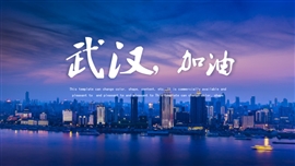 点亮武汉疫情防护PPT模板