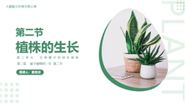 初中生物七年级上册《植株的生长》PPT课件