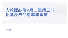 《第二章第三节化学反应的速率和限度》PPT课件