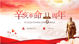纪念辛亥革命110周年重要精神解读ppt模板