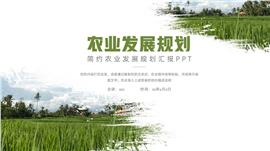 简洁农业发展汇报ppt模板