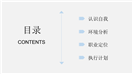 浅蓝色简约大学生职业生涯规划ppt模板