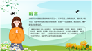 绿色小清新卡通清明节介绍起源ppt模板