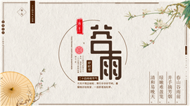 素色典雅二十四节气之谷雨介绍ppt模板