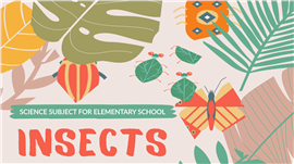 精美自然美学风昆虫科普课件ppt模板