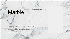 极简奢华风大理石纹理公司品牌介绍PPT模板
