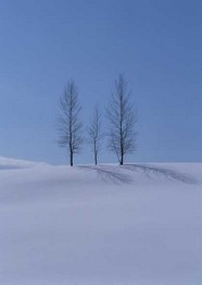 冰天雪地 476