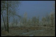 冰天雪地 608