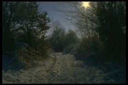 冰天雪地 650