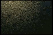 冰雪图片