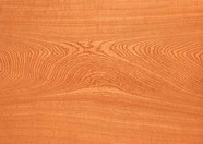 底纹 1405