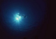 海底世界 16