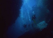海底世界 45